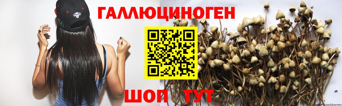 Междуреченск  Галлюциногенные грибы ЛСД  Галлюциногенные грибы мицелий  Вход с VPN 